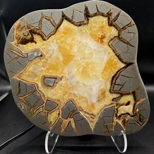 Septarian slab w night light stand #5